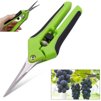 6.5 инчов градинарство ножици ръка ножици резитба ножици подстригване ножици с прав лакът остриета от неръждаема стомана за растение