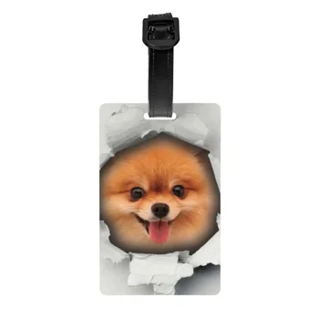 Сладко померанско куче в дупка Етикет за багаж за куфари Смешни шпиц кученце багаж Tags Поверителност Cover ID Label